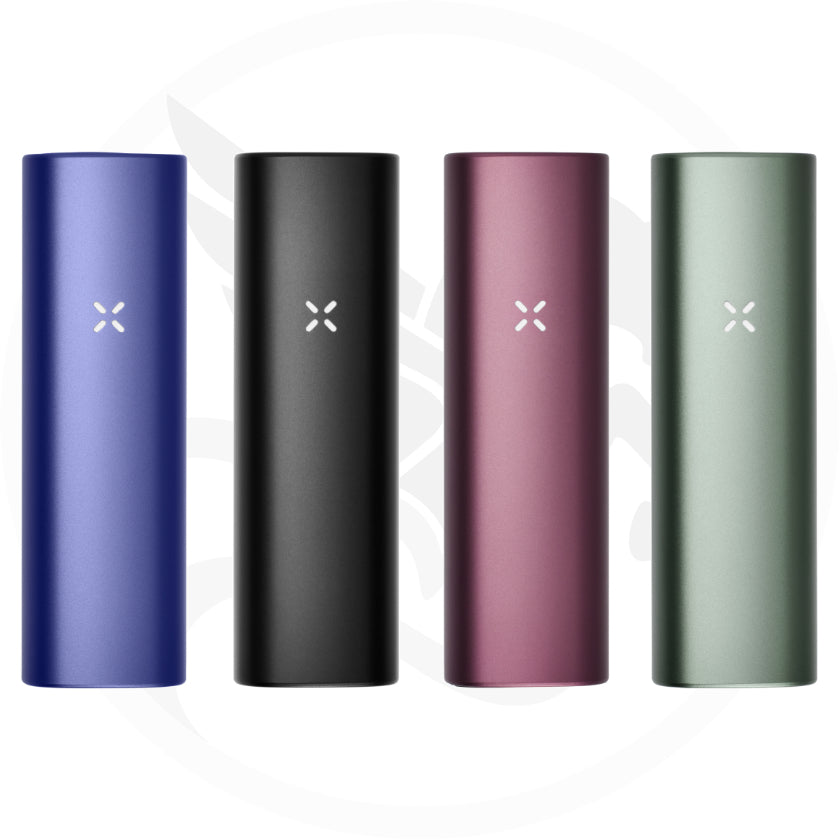 PAX Plus (kit de démarrage)