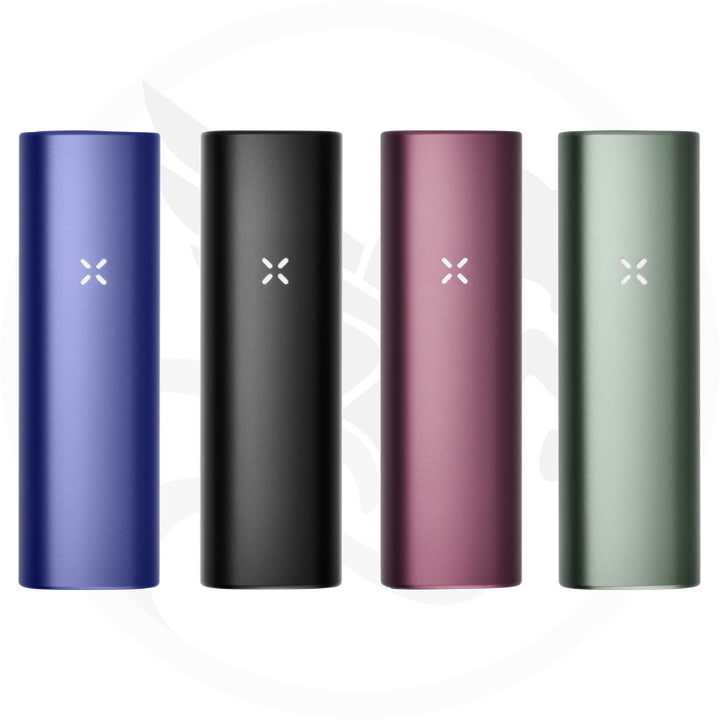 PAX Plus (kit de démarrage)
