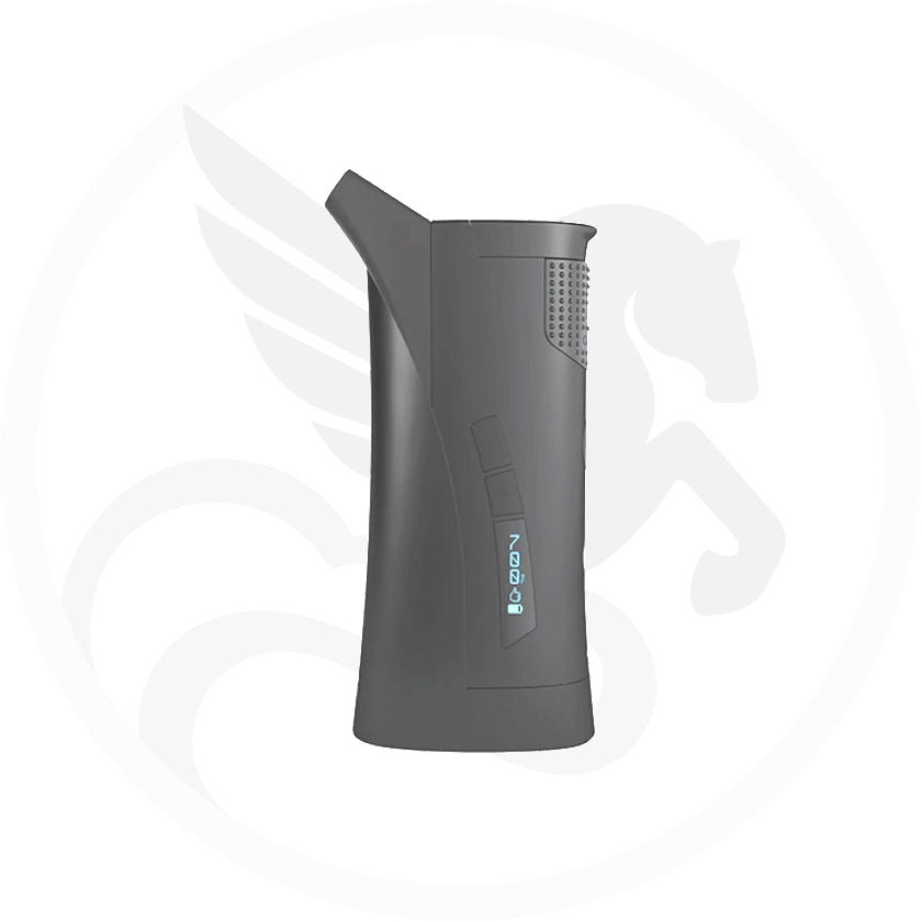 Vaporisateur GPen Roam