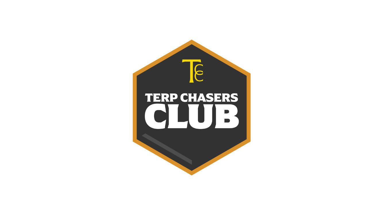 Terp Chasers Club