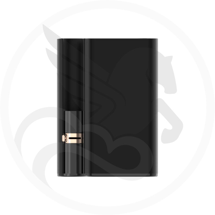 Batterie CCell Palm Pro
