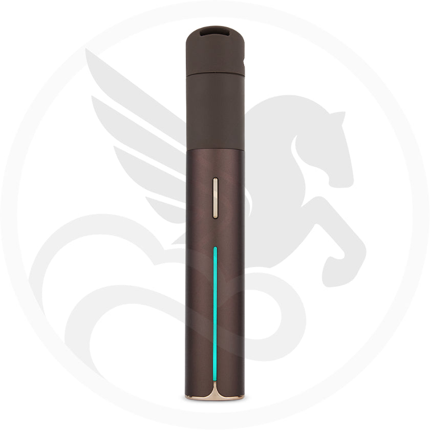 cheval de la vape CHEVAL DE LA VAPE (Inzinzac-Lochrist): Ce qu'il faut savoir pour votre  visite (avec critiques) main image 0